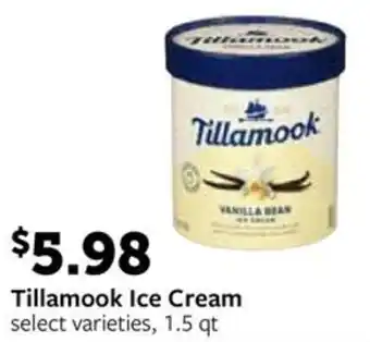 Fareway Tillamook Ice Cream offer