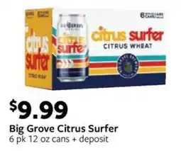 Fareway Big Grove Citrus Surfer offer