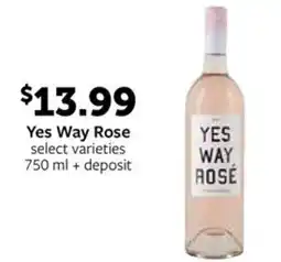 Fareway Yes Way Rose offer