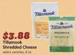 Fareway Tillamook Shredded Cheese offer