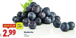 Lidl blueberries offer