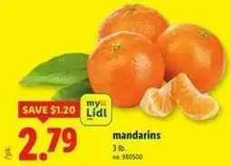 Lidl Mandarins offer