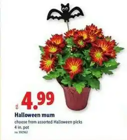 Lidl Halloween mum offer