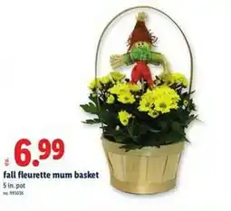Lidl fall fleurette mum basket offer
