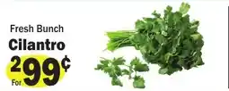 Sellers Bros Cilantro offer
