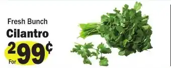 Sellers Bros Cilantro offer
