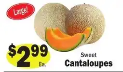 Sellers Bros Cantaloupes offer