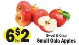 Sellers Bros Small Gala Apples offer