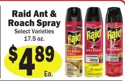 Sellers Bros Raid Ant & Roach Spray offer