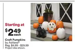 Michaels craft Pumpkins by Ashland offer