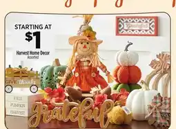 Dollar General Harvest Home Decor offer