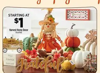 Dollar General Harvest Home Decor offer