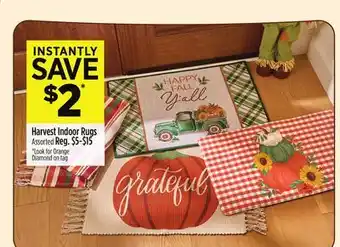 Dollar General Harvest Indoor Rugs offer