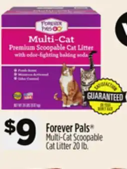 Dollar General Forever Pals Multi-Cat Scoopable Cat Litter offer