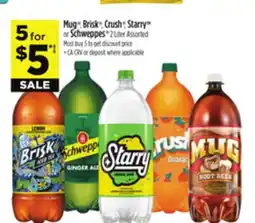 Dollar General Mug , Brisk , Crush , Starry or Schweppes offer