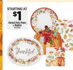 Dollar General Harvest Party Plates or Napkins offer