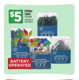 Dollar General Holiday Lights offer