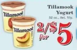 Harvest Foods Tillamook Yogurt offer