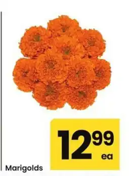 Safeway Marigolds offer