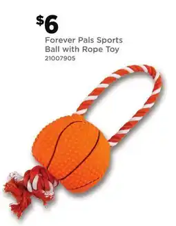 Dollar General Forever Pals Sports Ball with Rope Toy offer