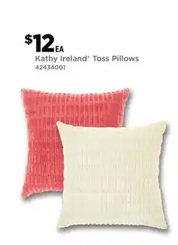 Dollar General Kathy Ireland Toss Pillows offer