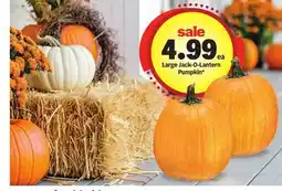 Meijer Large Jack-O-Lantern Pumpkin offer