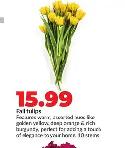 Hy-Vee Fall tulips offer
