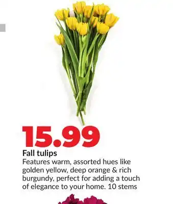 Hy-Vee Fall tulips offer