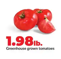 Hy-Vee Greenhouse grown tomatoes offer