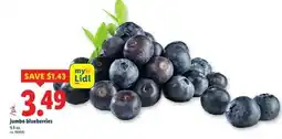 Lidl Jumbo blueberries offer