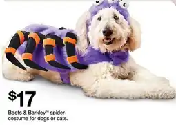 Target Boots & Barkley spider costume for dogs or cats offer