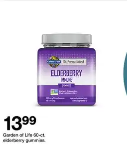 Target Garden of Life 60-ct. elderberry gummies offer