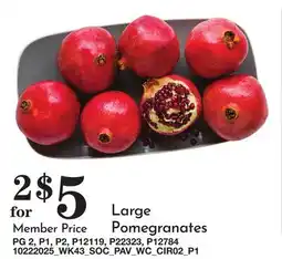 Pavilions Large Pomegranates offer