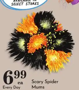 Pavilions Scary Spider Mums offer