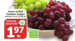 Albertsons Green or Red Seedless Grapes offer