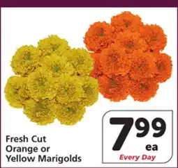 Albertsons Fresh Cut Orange or Yellow Marigolds offer