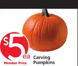 Albertsons Carving Pumpkins offer