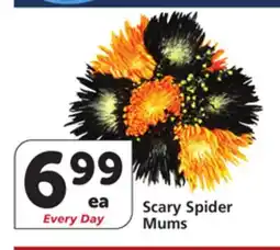 Albertsons Scary Spider Mums offer