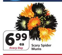 Vons Scary Spider Mums offer