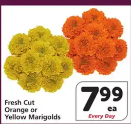 Vons Fresh Cut Orange or Yellow Marigolds offer
