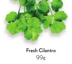 Fresh Thyme Fresh Cilantro offer