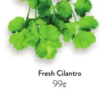 Fresh Thyme Fresh Cilantro offer