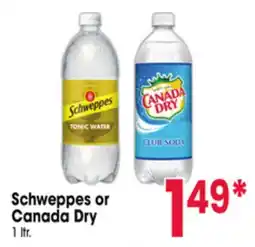 Jewel-Osco Schweppes or Canada Dry offer