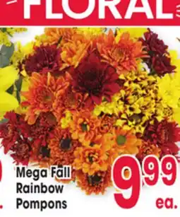 Jewel-Osco Mega Fall Rainbow Pompons offer
