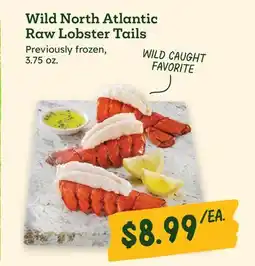Sprouts Farmers Market Wild North Atlantic Raw Lobster Tails offer
