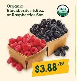 Sprouts Farmers Market Organic Blackberries 5.6oz. or Raspberries 6oz offer