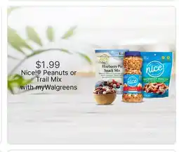 Walgreens Nice! Peanuts or Trail Mix offer
