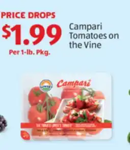 Aldi Campari Tomatoes on the Vine offer