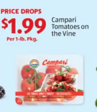 Aldi Campari Tomatoes on the Vine offer