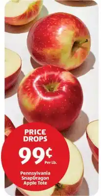 Aldi Pennsylvania SnapDragon Apple Tote offer